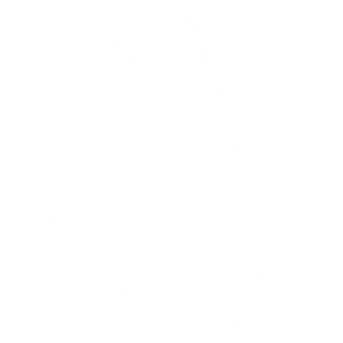 Acompañamiento en duelo